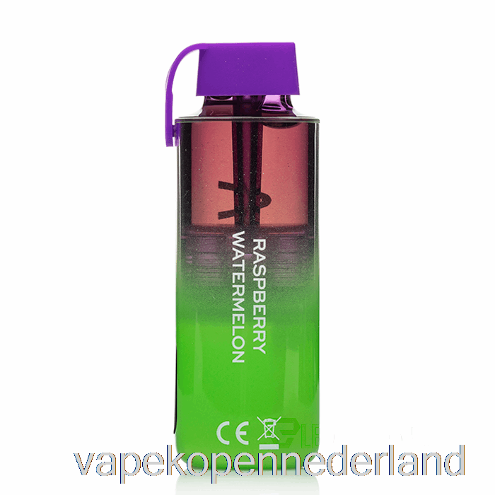 Elektronische Sigaret Vape Vozol Neon 10000 Wegwerp Frambozenwatermeloen